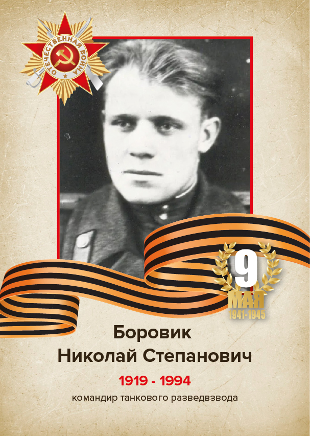 Боровик Николай Степанович Боровик Николай Степанович